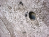 Yellowstone National Park 072